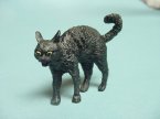 Black Haloween Cat